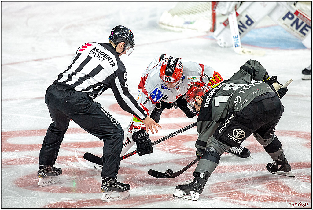 DEL; Koelner Haie - Fischtowns Pinguins Bremerhaven, 24.01.2019